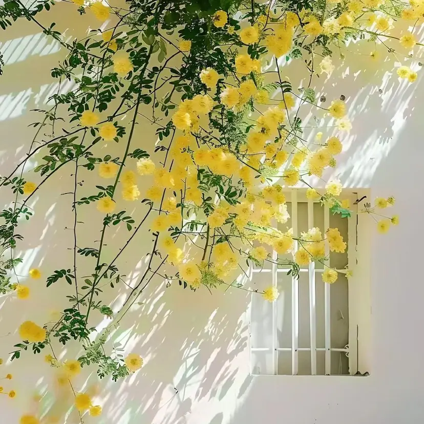 passion茨木 【風張】の掲載