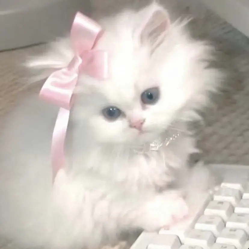 Tetyna 川越店 yukaの掲載