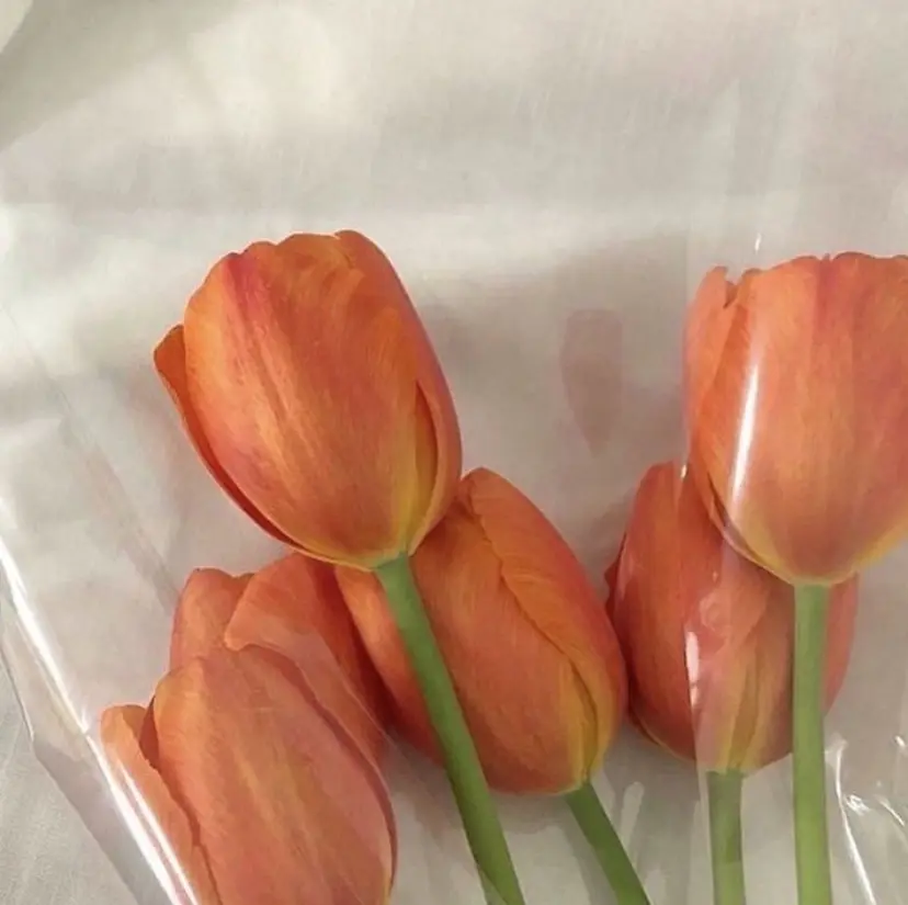 DL BEAUTY saiの掲載