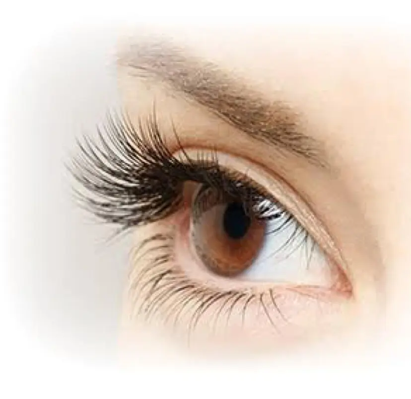 佐藤 鈴夏の掲載