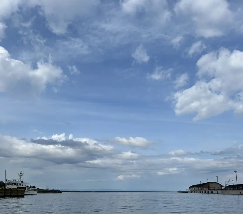 徳野 愛依の掲載