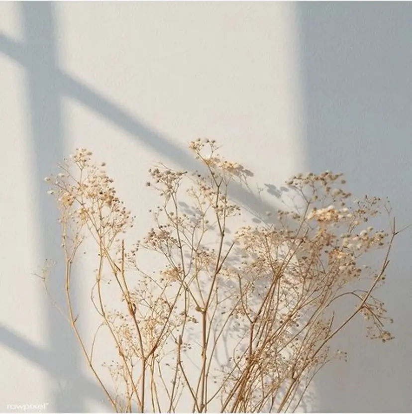 河住 琴花の掲載