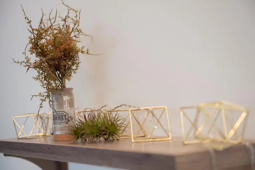 academy salon Eの掲載