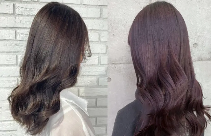 坂井 里奈の掲載