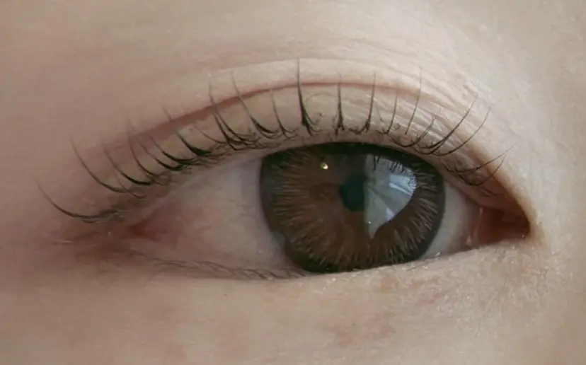 岩井 優希の掲載