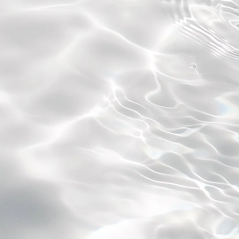 大谷 若葉の掲載