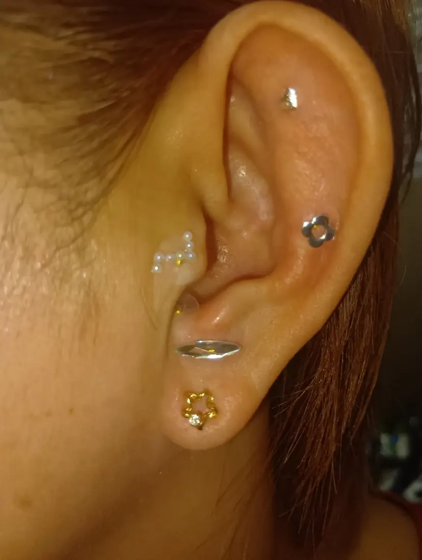 佐藤 成美の掲載