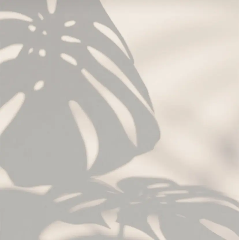 サクラブロウ茶屋町 浜田の掲載