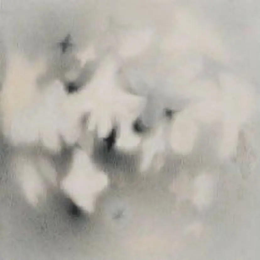 Bianca 川口 ami⟡.·の掲載