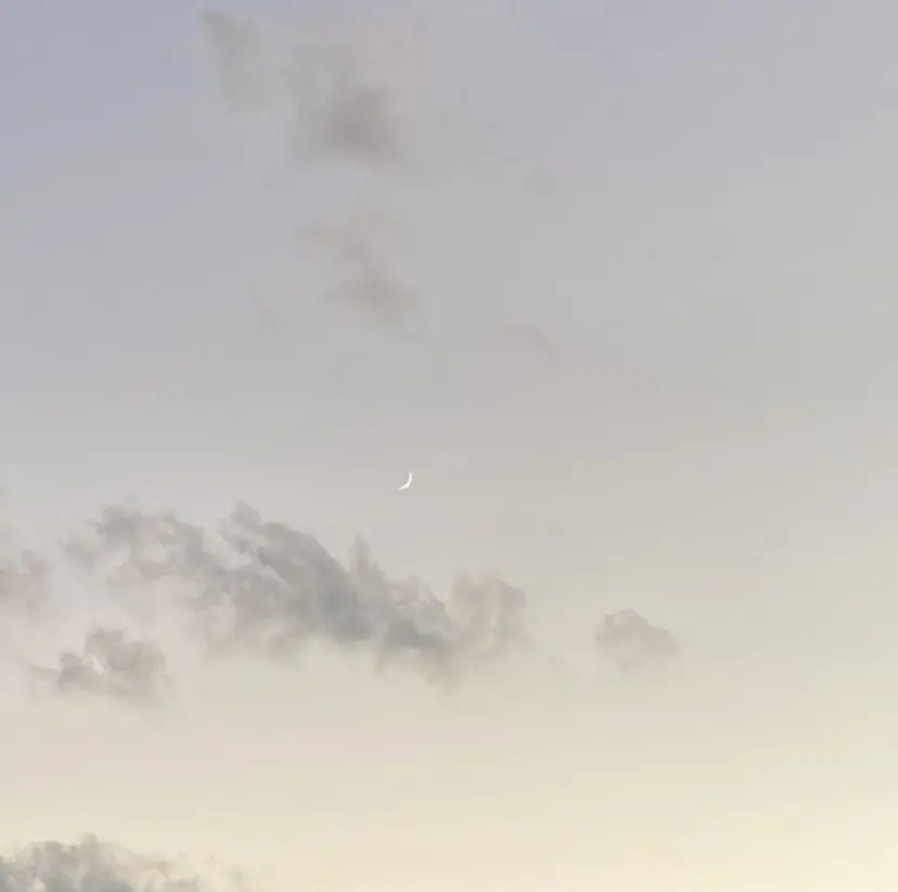 nagisa ✩︎⡱の掲載