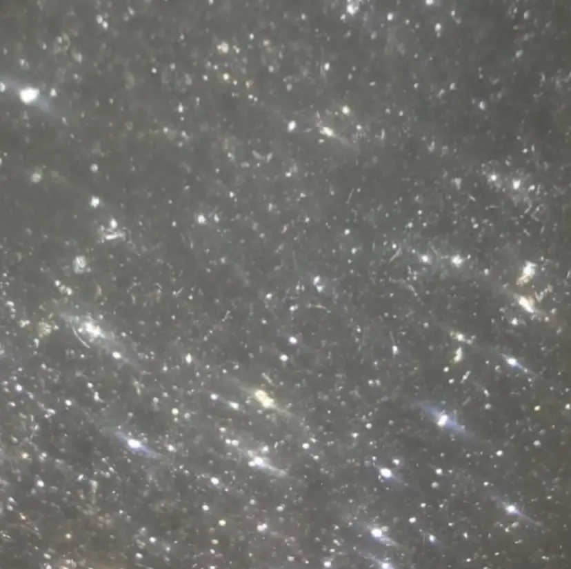 大神 鈴夏の掲載