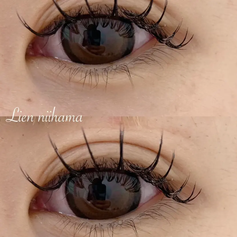 研修生 河村の掲載