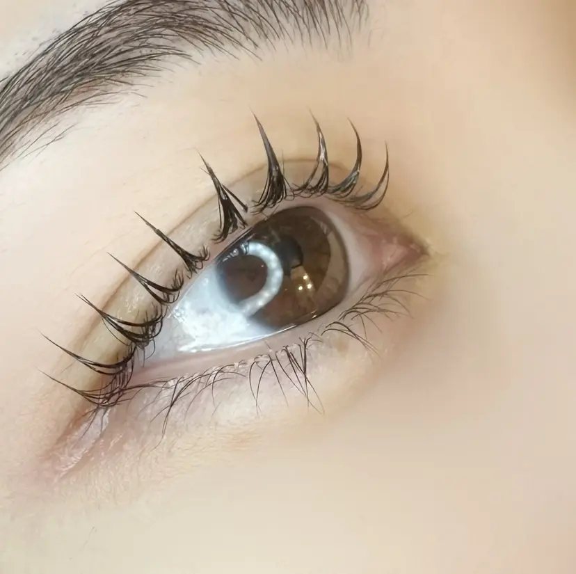 口コミ高評価⚡️ Wahf/そうたの掲載