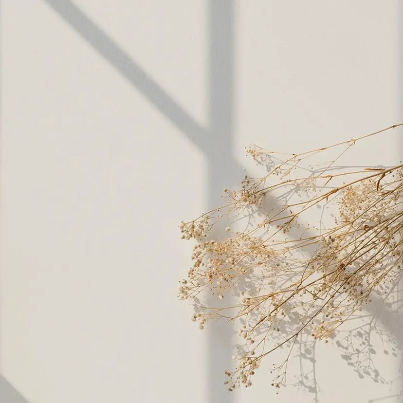 mushku natsuの掲載