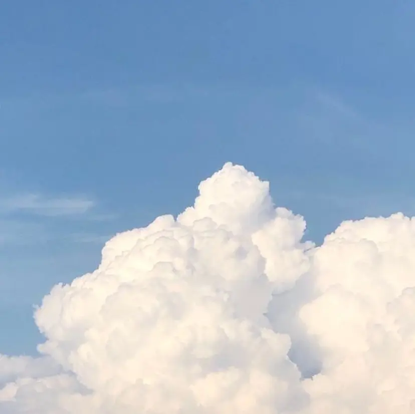 VENICE Tsubasa🐳の掲載