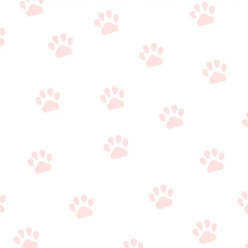 加藤 菜々佳の掲載