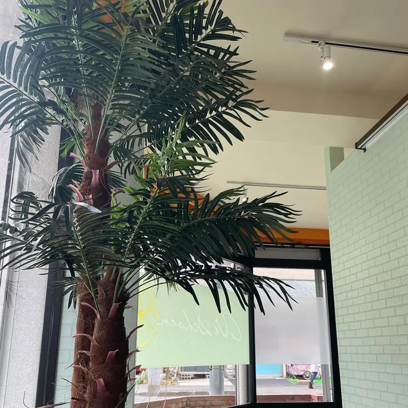 ViSchoen 西川の掲載