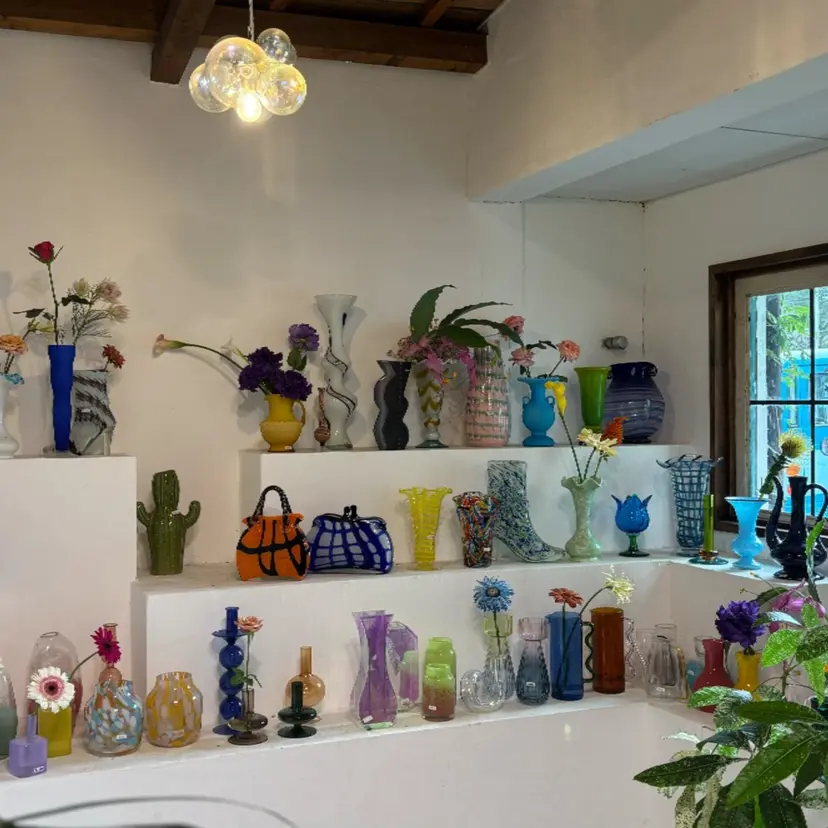 楠瀬 綾乃の掲載