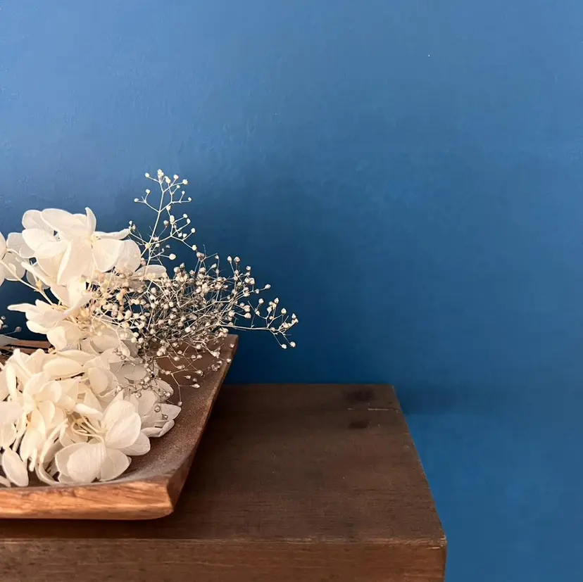 サロンマナ まなの掲載