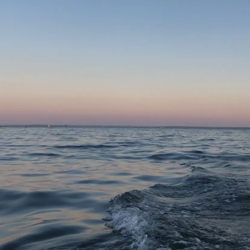 【パーマ🌀/暖色カ ラー🍷】ななこ🌴の掲載
