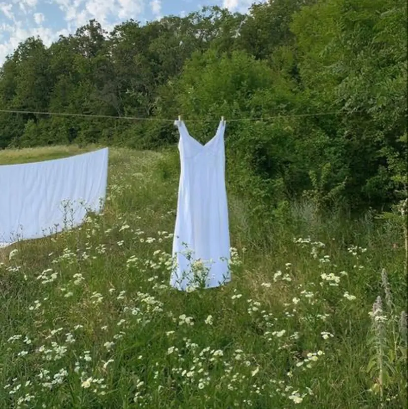 🪴酒井 可南子🪴の掲載