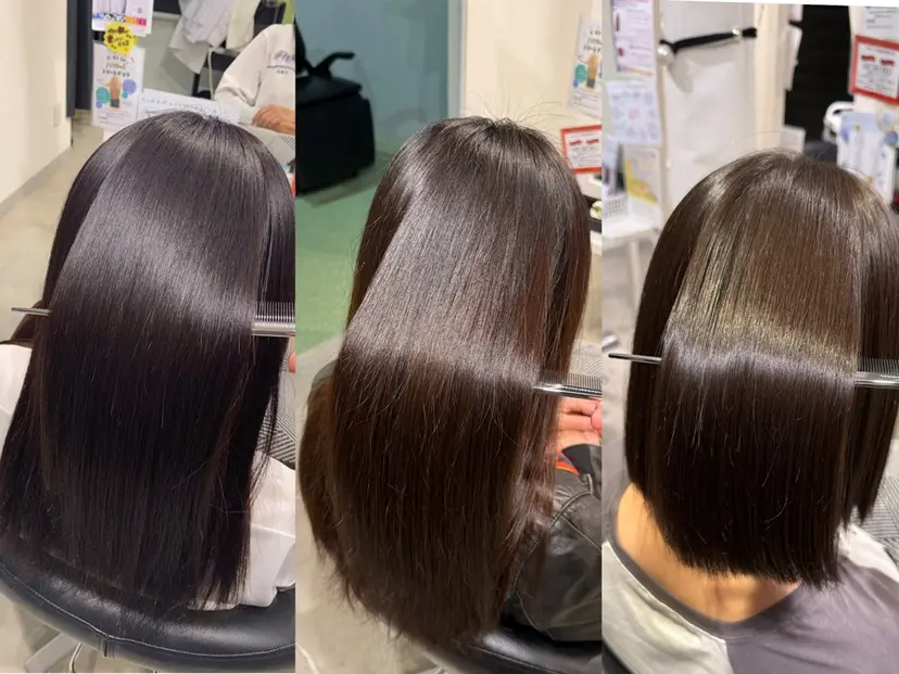 浅野  勇貴の掲載