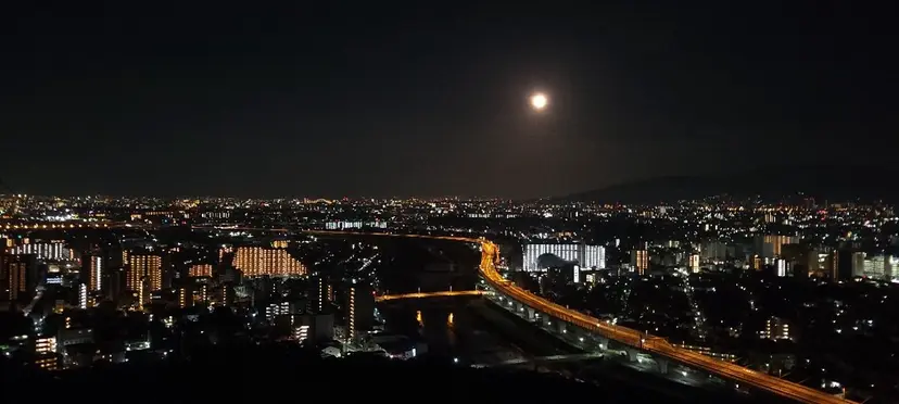 斉藤 翔真の掲載