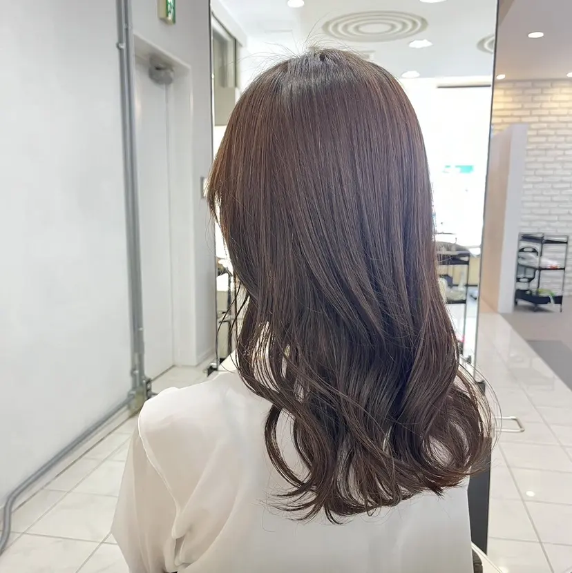 設楽 遥大の掲載