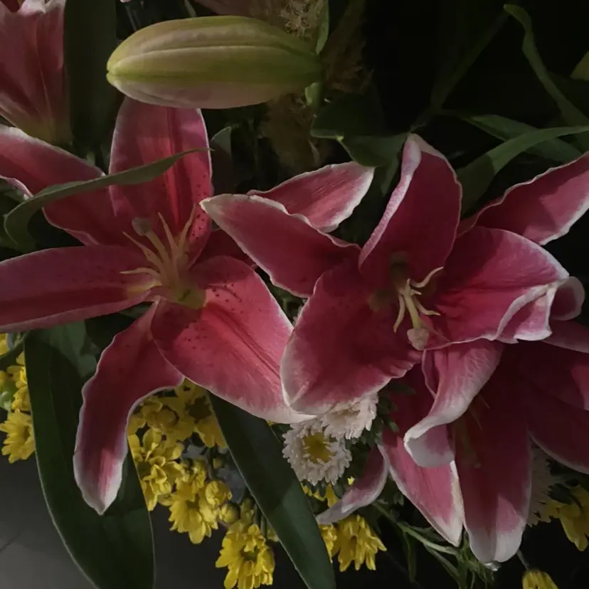 タカスギ レオナ🎀の掲載