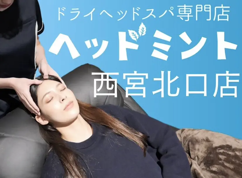 マツセ サヤカの掲載