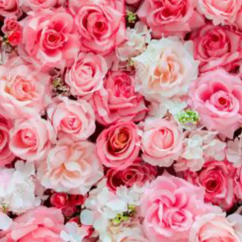 富永 佐知代の掲載