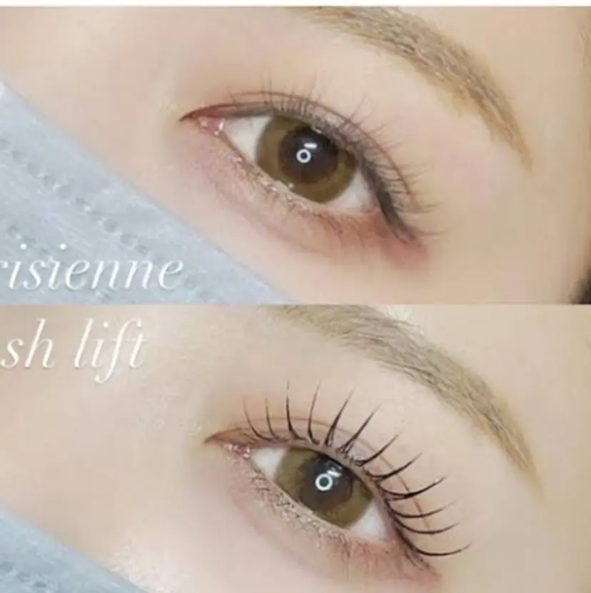 安井 ここ桧の掲載