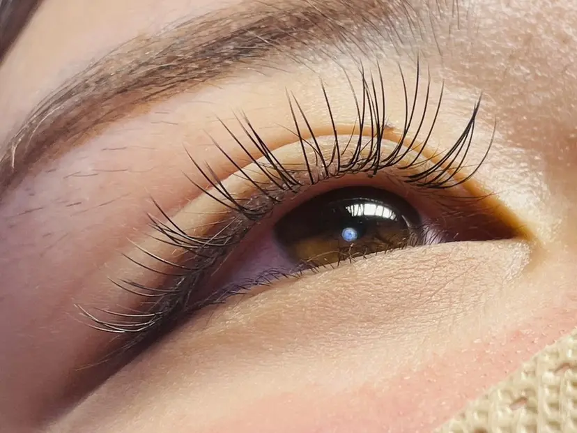 倉嶋 弘乃の掲載