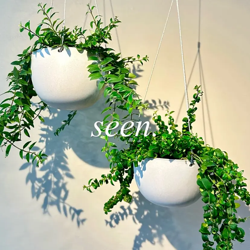 メンズ縮毛矯正の スペシャリスト/札幌の掲載