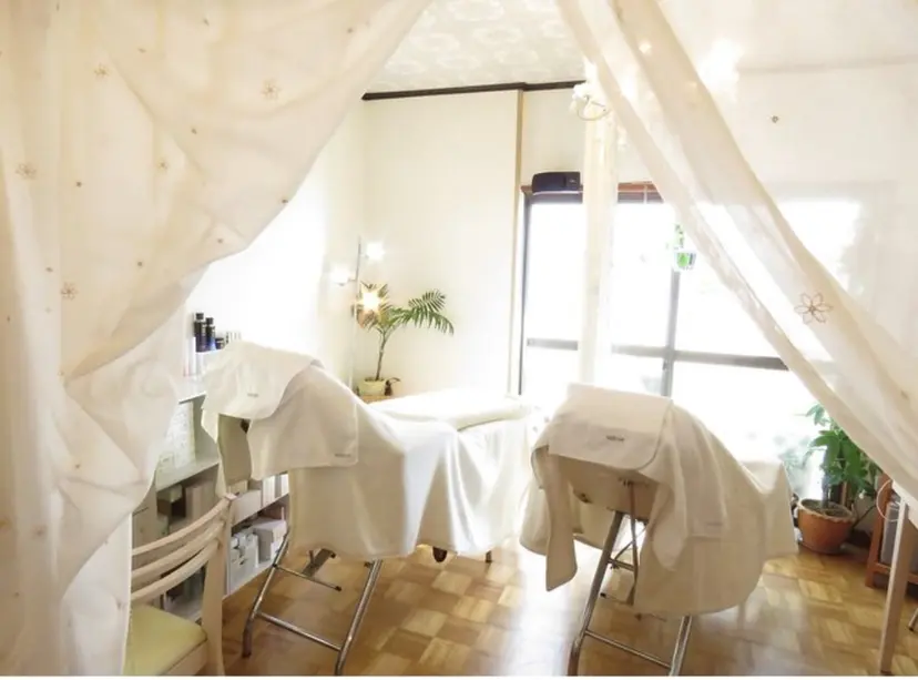 ノエビアビューティー セレンディピティの掲載