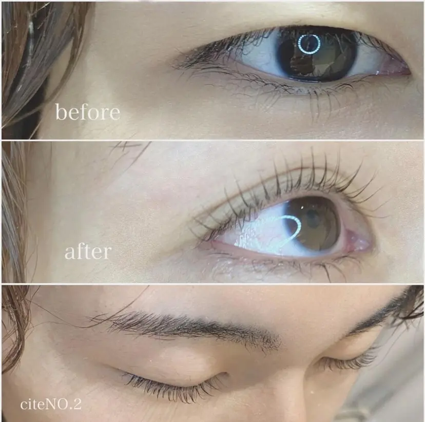 白川 めるの掲載