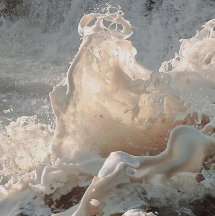 小松 寧々の掲載