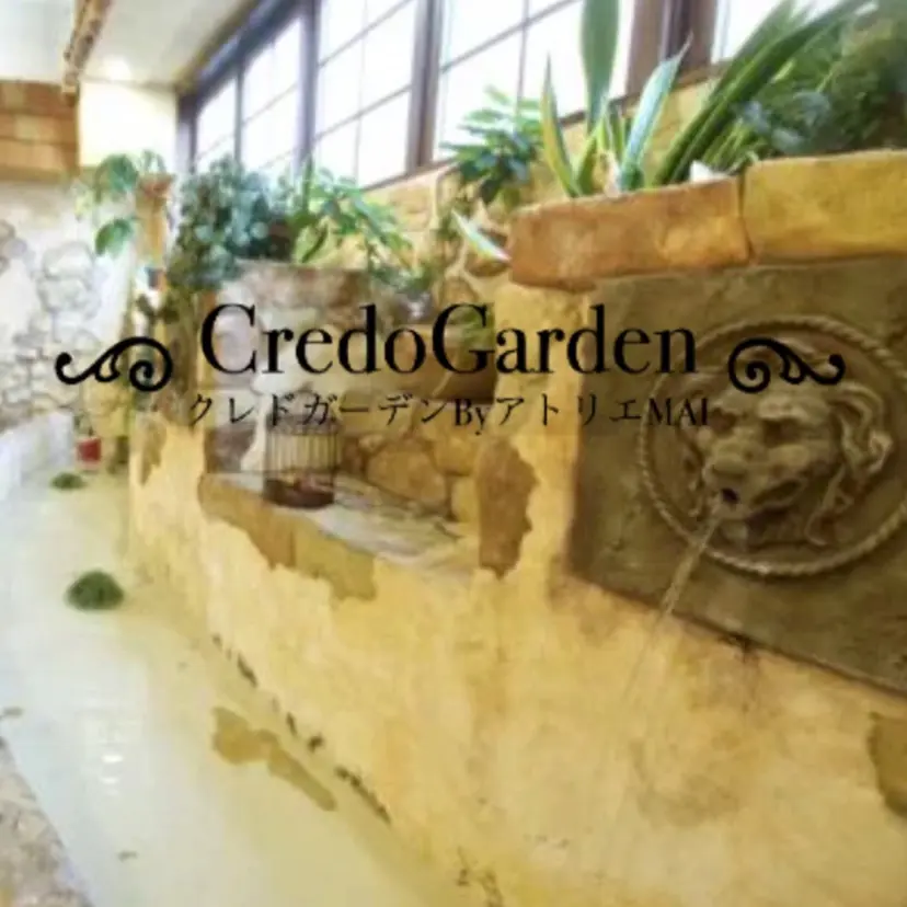 大坂 優菜の掲載