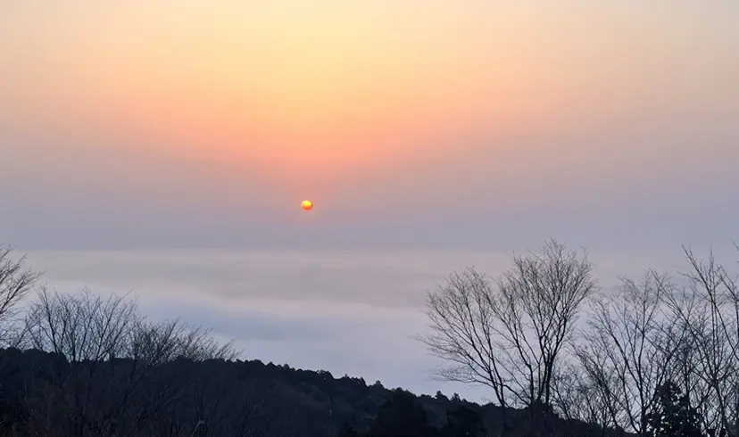 寺田 有花の掲載
