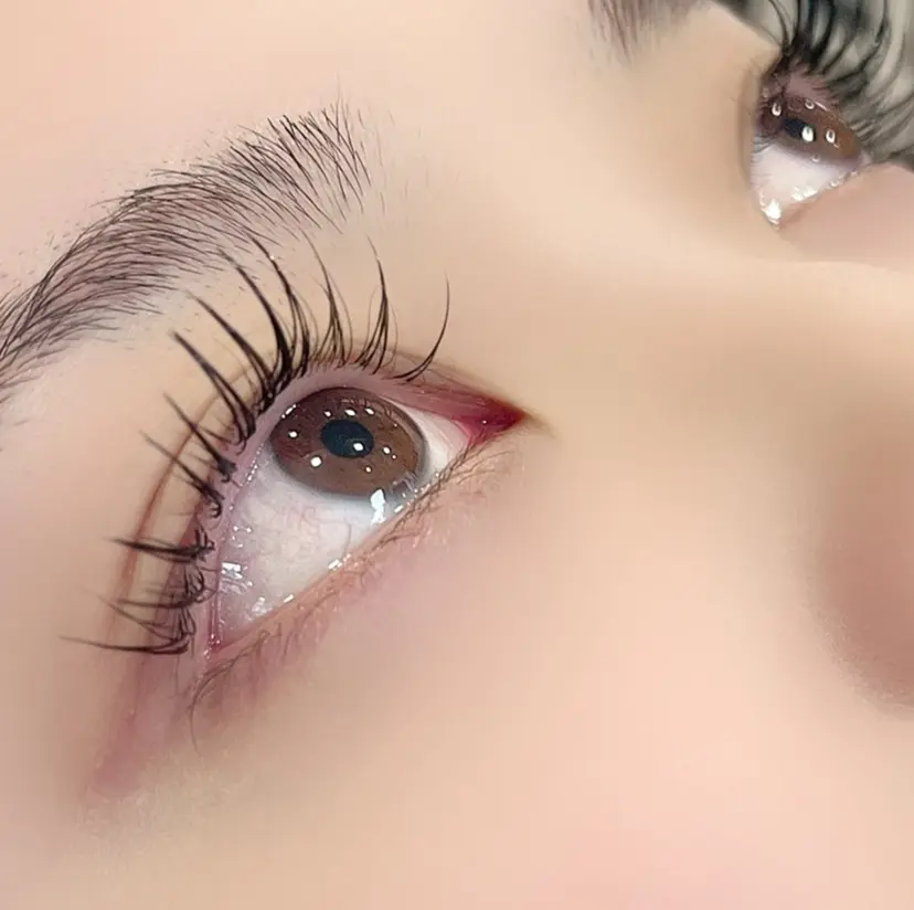 中野/ めぐの掲載