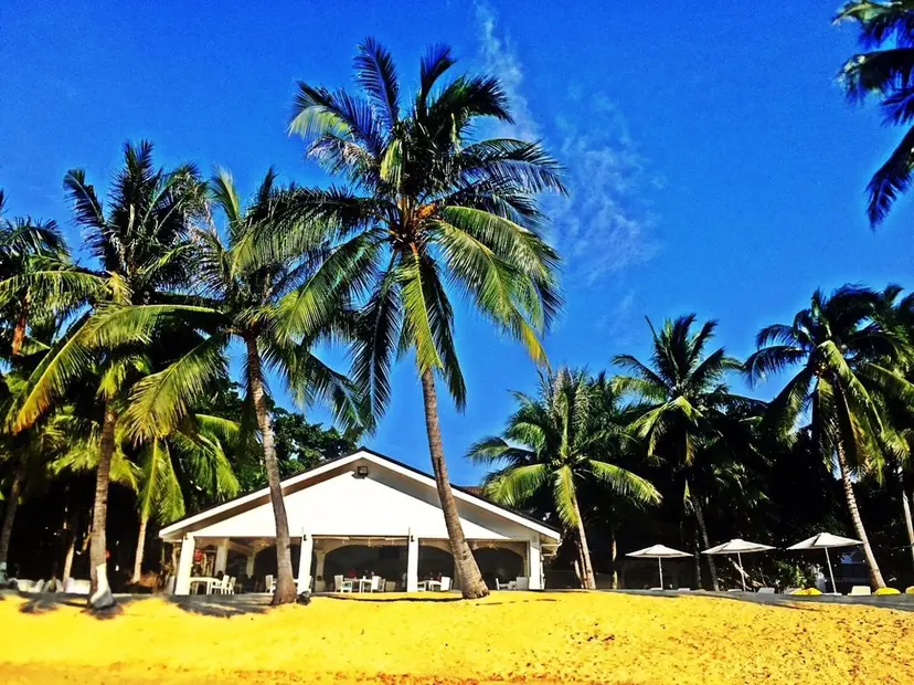 mist AYA 🏝️eyelashの掲載