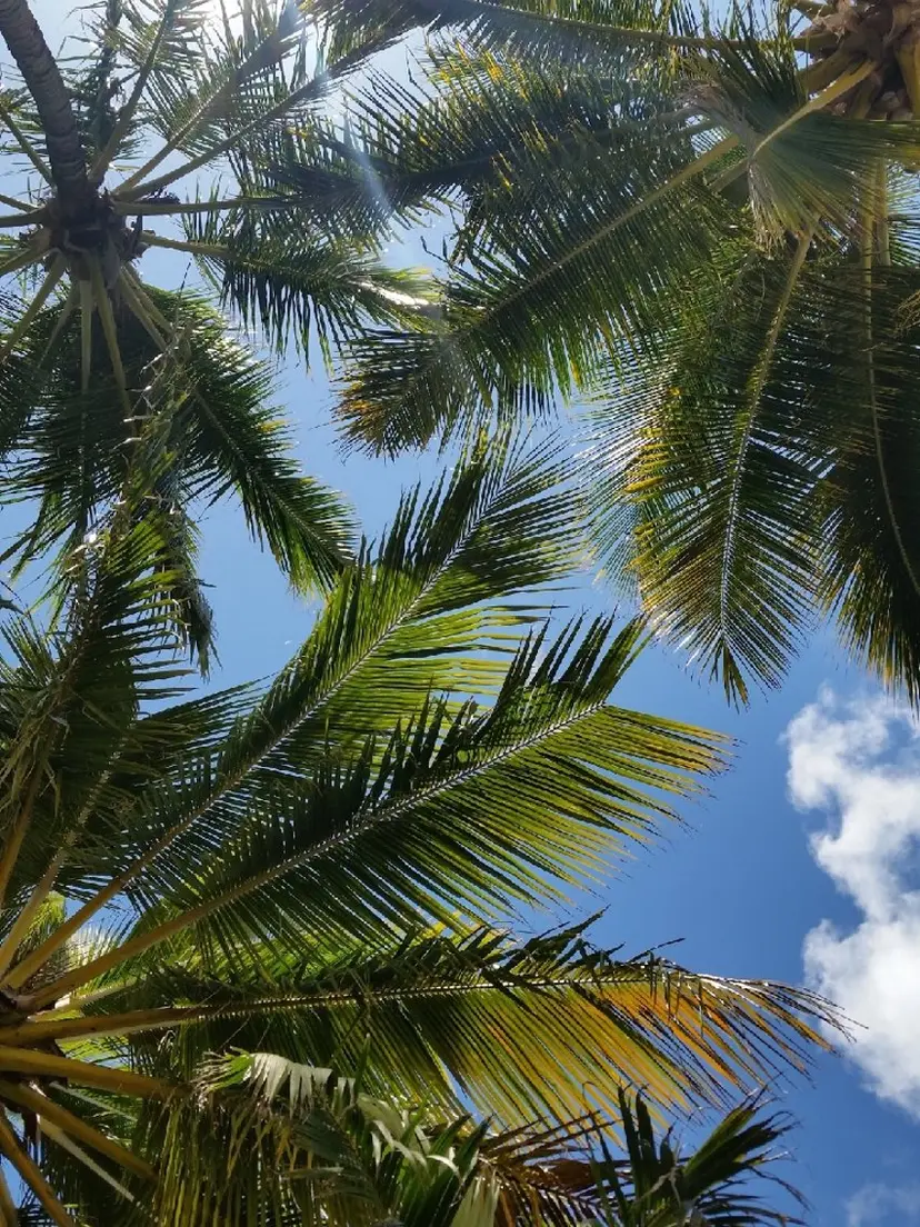 ☺︎ asatoの掲載