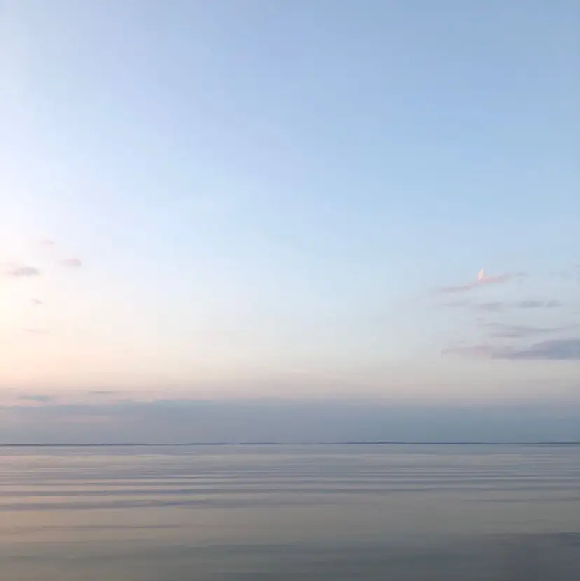 Rien Lash yurin🌙の掲載