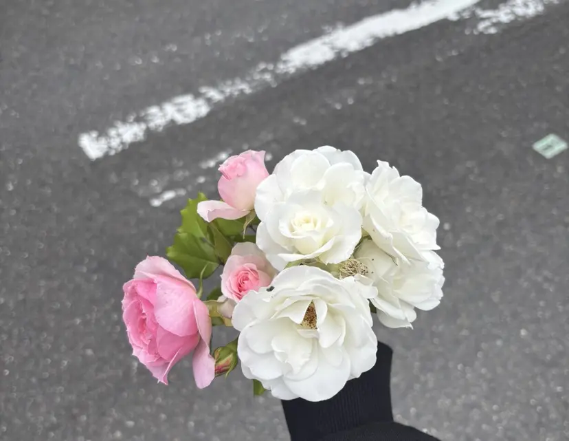 上浦 晴空の掲載