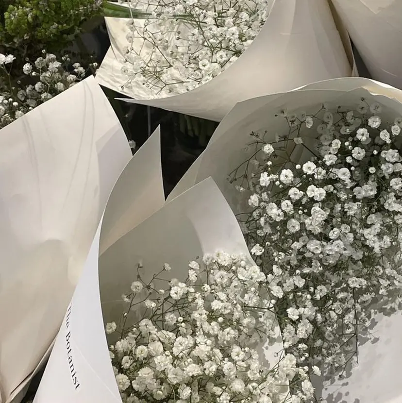 eyelashZEN 《完全個室》の掲載