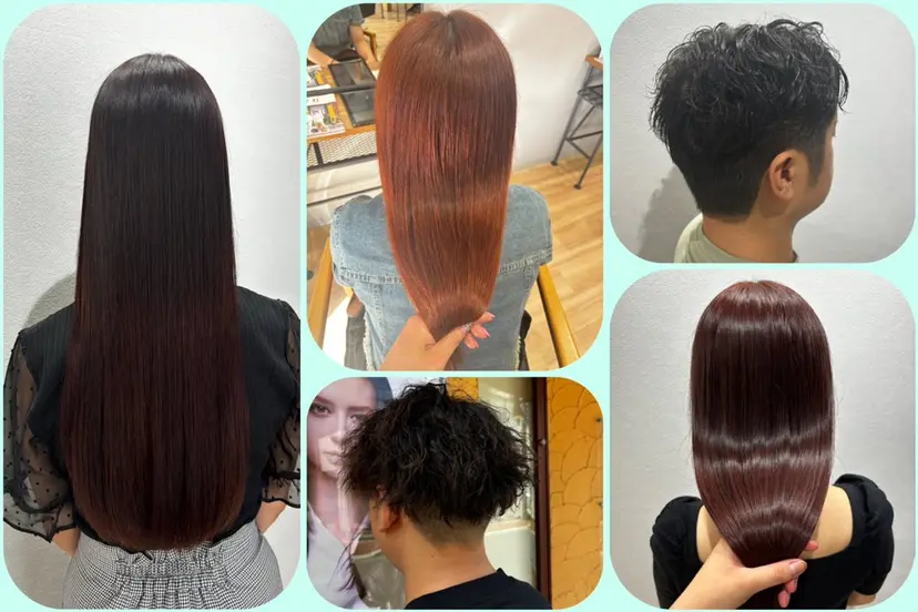 丸山 早紀の掲載