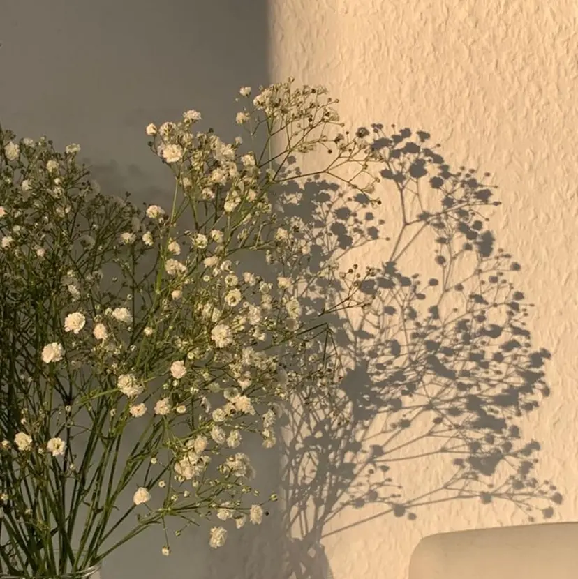 Ulum川越 Nakasoneの掲載