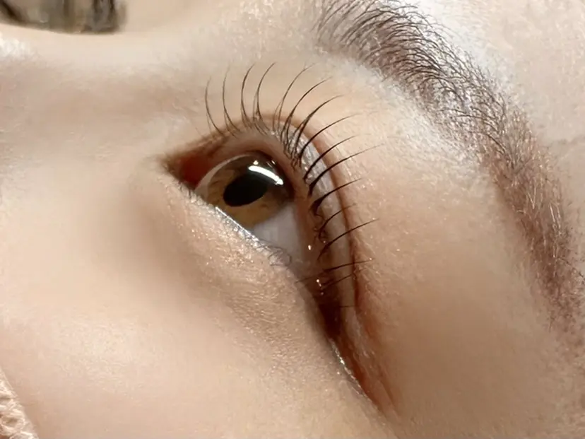 ✨7月限定クーポン✨ sakuralilyの掲載