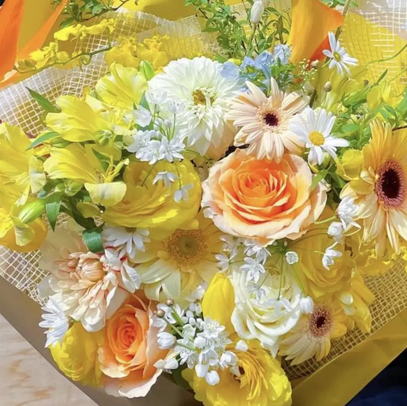 𝑨𝒚𝒂𝒏𝒂 ꔛ💛の掲載