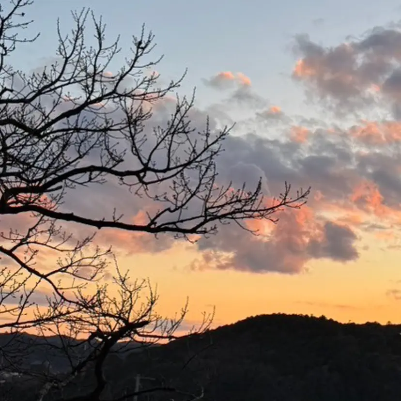 よこやま かりん🐱ྀི❤️の掲載